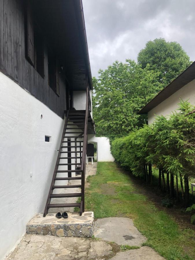Apartmany Slavkovice-Lipno Černá v Pošumaví Eksteriør billede