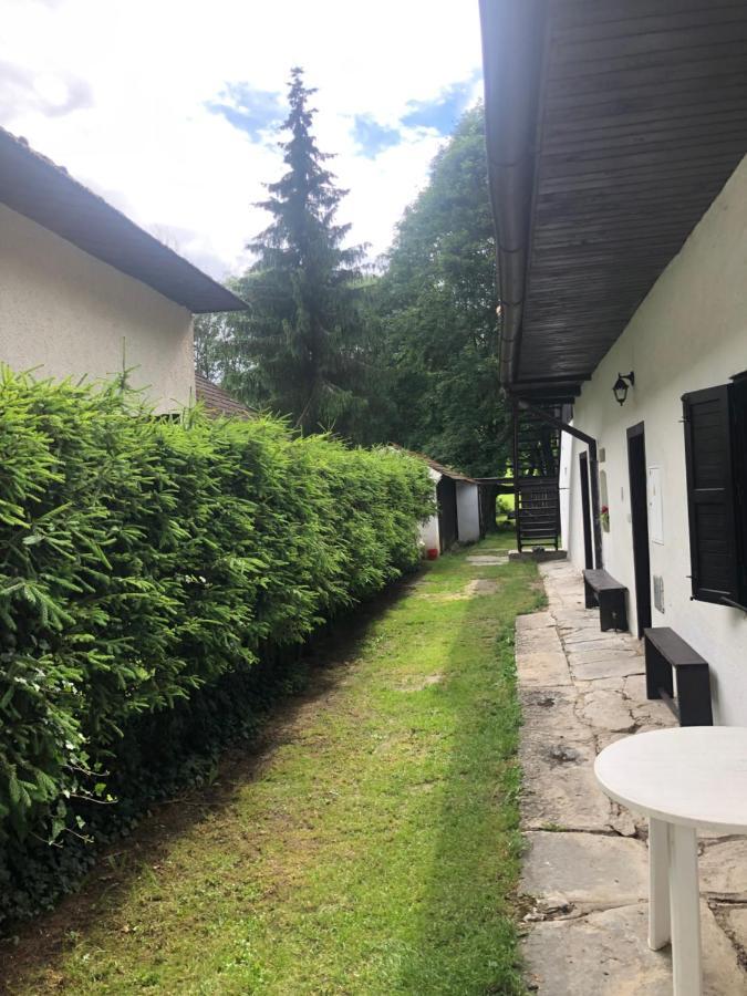 Apartmany Slavkovice-Lipno Černá v Pošumaví Eksteriør billede